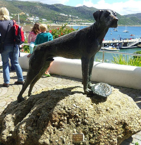 Dogge Just Nuisance Statue in Kapstadt. Foto: Jon Plowman