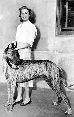 Grace Kelly mit ihrer Dogge